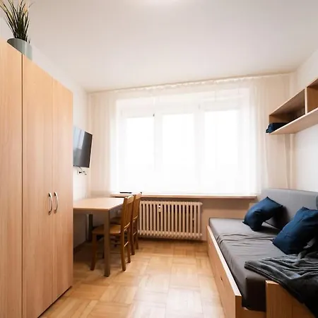 Apartment In Brno-center