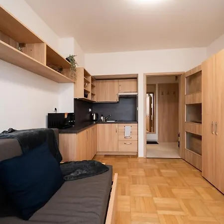 Lägenhet In Brno-center Brno