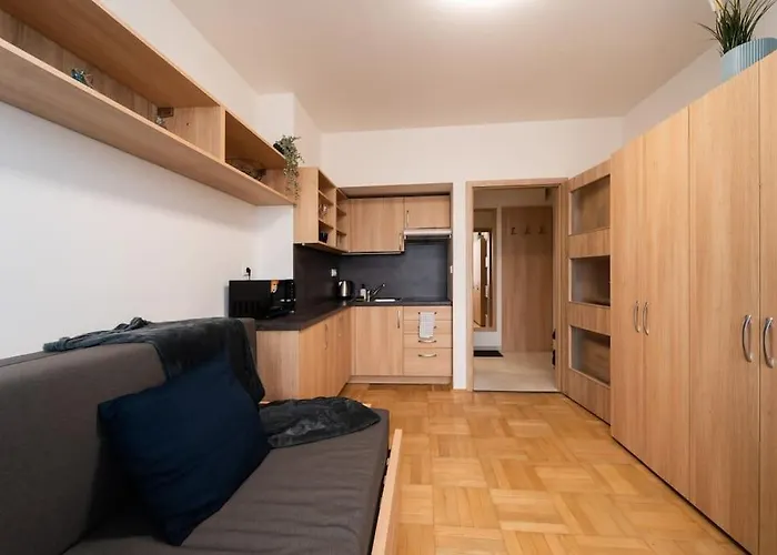 Appartement In Brno-center Brno